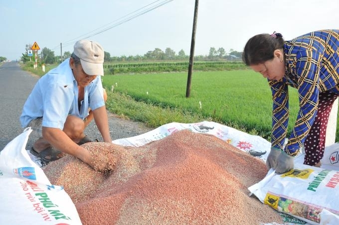 Giá phân bón hôm nay 19/8: NPK vẫn đi ngang trước những bất ổn của thế giới