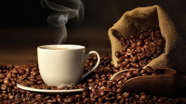 Giá cà phê hôm nay 4/9: Tiếp tục giảm