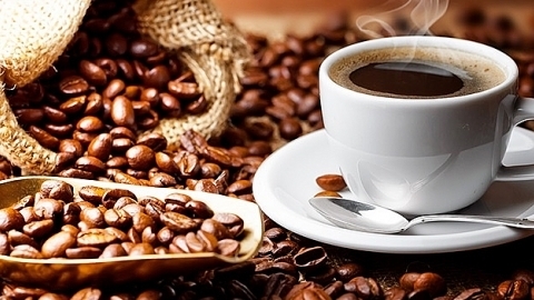 Giá cà phê hôm nay 10/9: Quay đầu tăng 400 đồng/kg