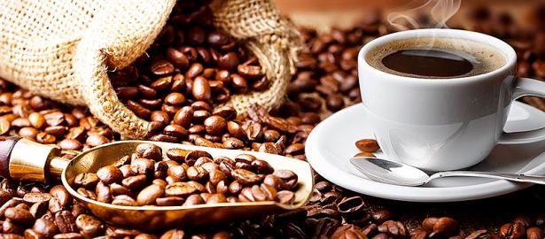 Giá cà phê hôm nay 10/9: Quay đầu tăng 400 đồng/kg