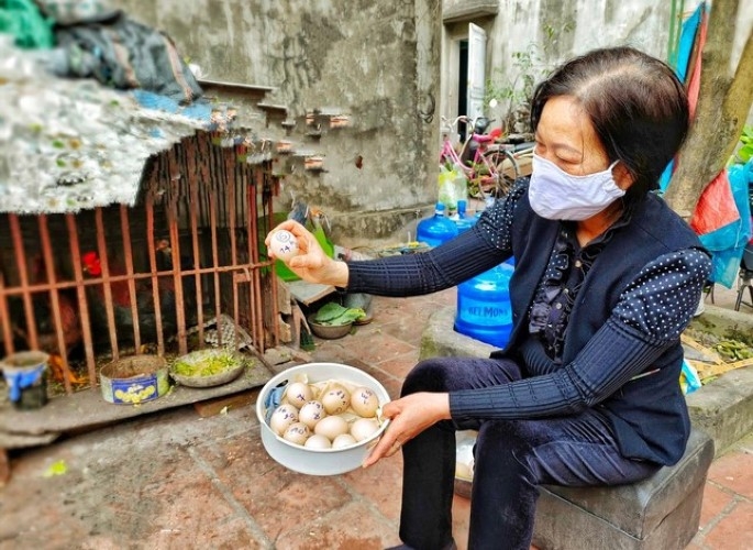 Xôn xao chuyện gà đẻ 7 trứng 1 ngày ở Bắc Giang
