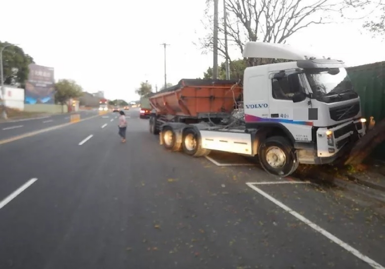 Kiến đốt bất tỉnh, tài xế mất lái đâm vào gốc cây