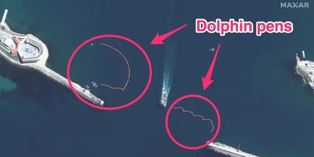 Ảnh vệ tinh hé lộ Nga đưa cá heo đến bảo vệ căn cứ hải quân ở Crimea