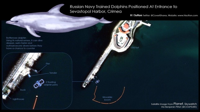 Ảnh vệ tinh hé lộ Nga đưa cá heo đến bảo vệ căn cứ hải quân ở Crimea