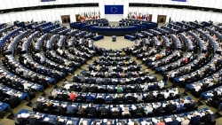 Đánh giá sai lệch của Nghị viện châu Âu