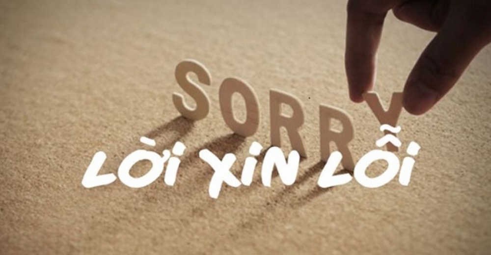 Văn hóa xin lỗi
