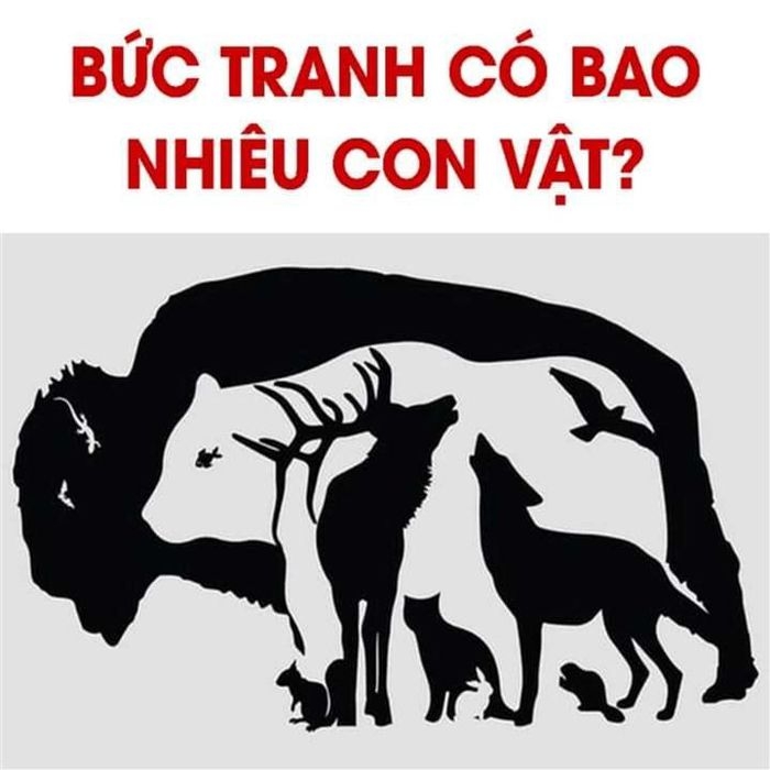 Câu đố đơn giản nhưng cho ra nhiều đáp án: Bạn nhìn thấy bao nhiêu con vật?