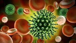Tổ chức Y tế Thế giới giải thích cơ chế tiến hóa của virus SARS-CoV-2