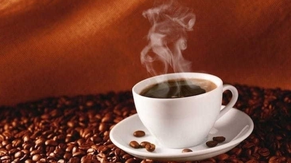Giá cà phê hôm nay 20/1/2022: Giảm nhẹ tại một số địa phương