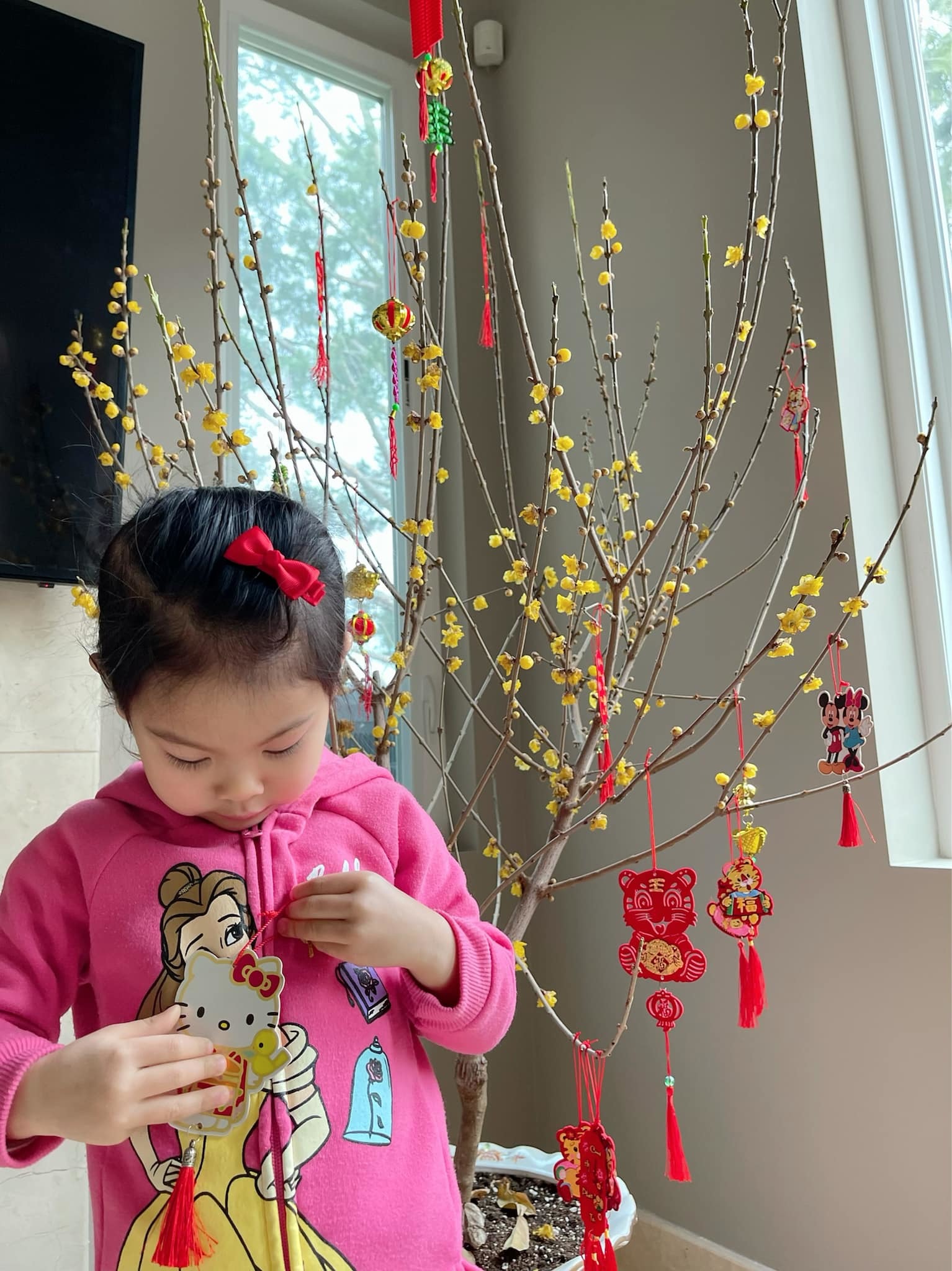 Dinh cơ hoành tráng ngập không khí Tết của Thanh Thảo Dinh cơ hoành tráng ngập không khí Tết của Thanh Thảo
