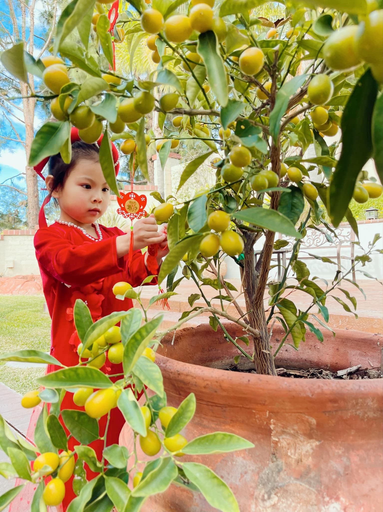 Dinh cơ hoành tráng ngập không khí Tết của Thanh Thảo Dinh cơ hoành tráng ngập không khí Tết của Thanh Thảo