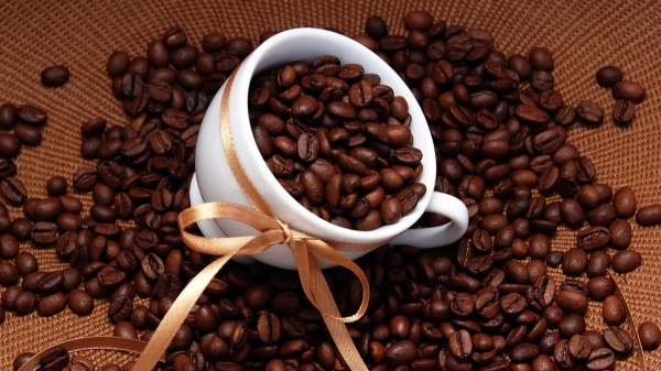 Giá cà phê hôm nay 31/1/2022: Đi ngang tại thị trường trong nước