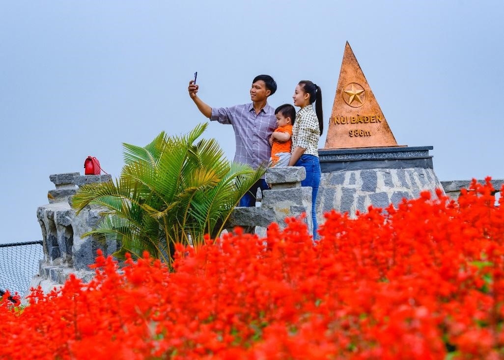 Đến Tây Ninh ngắm hoa tulip nở rực rỡ trên đỉnh núi Bà Đen dịp Tết Nhâm Dần