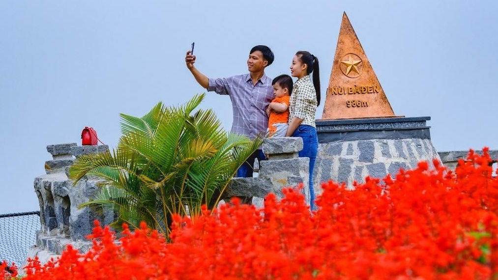 Đến Tây Ninh ngắm hoa tulip nở rực rỡ trên đỉnh núi Bà Đen dịp Tết Nhâm Dần