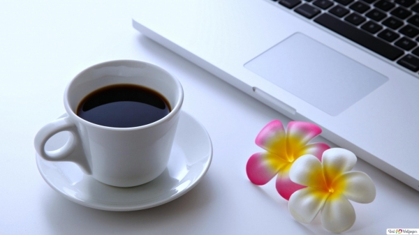 Giá cà phê hôm nay 8/2: Giao dịch trong nước ổn định