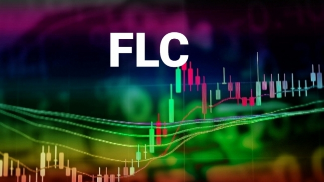 Tin nhanh chứng khoán ngày 7/2: Thị trường phục hồi tích cực, nhóm cổ phiếu FLC khoe sắc tím