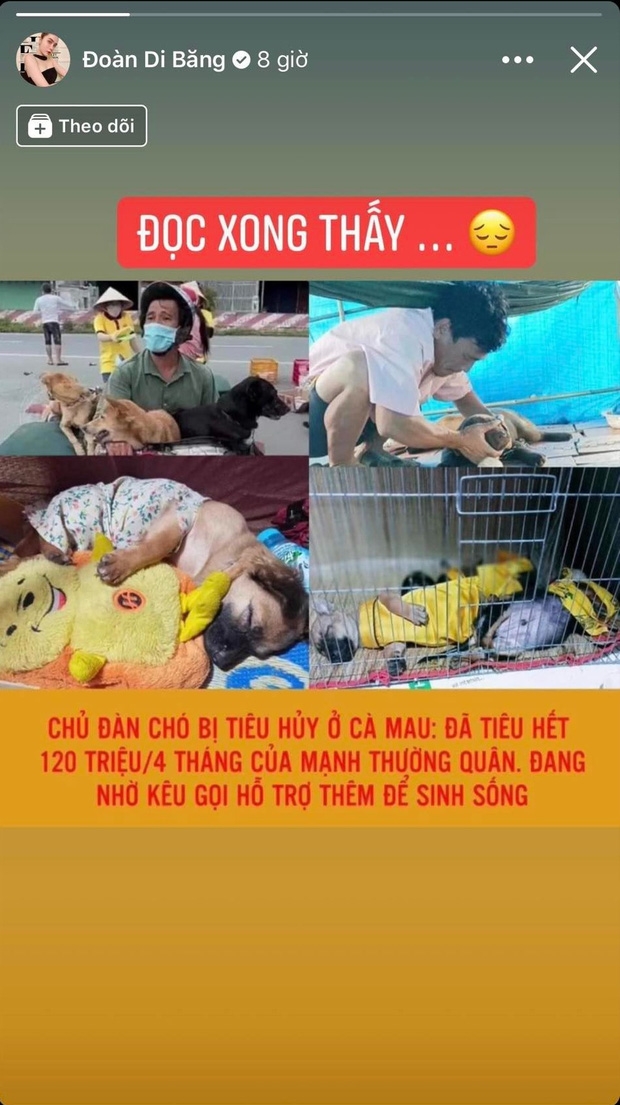 Sao Việt ngày 12/2/2022: Đoàn Di Băng phản ứng trước thông tin "chủ của 15 chú chó xin thêm tiền từ thiện"