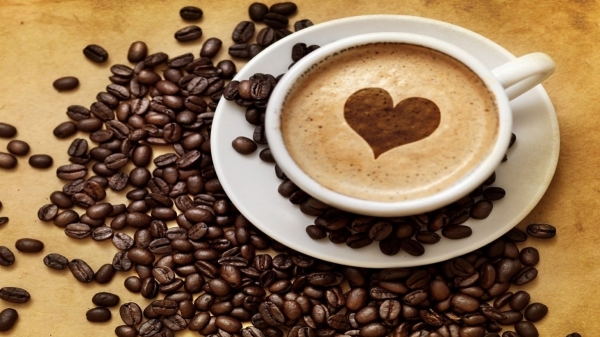 Giá cà phê hôm nay 13/2: Tăng nhẹ tại một số địa phương