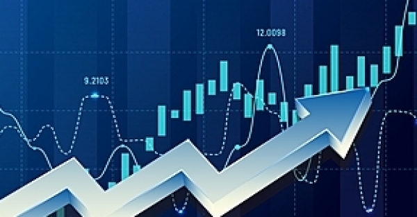 Tin nhanh chứng khoán ngày 21/2: VN Index vẫn đi lên mặc rung lắc mạnh