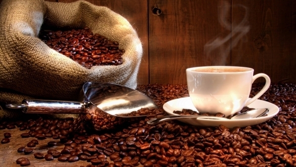 Giá cà phê hôm nay 23/3: Tăng nhẹ tại thị trường trong nước