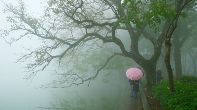 Dự báo thời tiết ngày 17/3/2024: Hà Nội nồm ẩm, mưa phùn, sương mù
