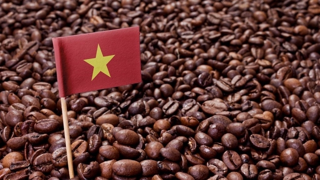 Cà phê Việt Nam liên tiếp đón tin vui, thiết lập giá cao vút
