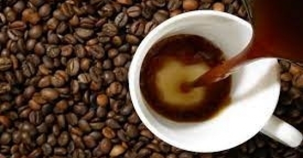 Giá cà phê hôm nay 20/4: Trong nước duy trì ổn định