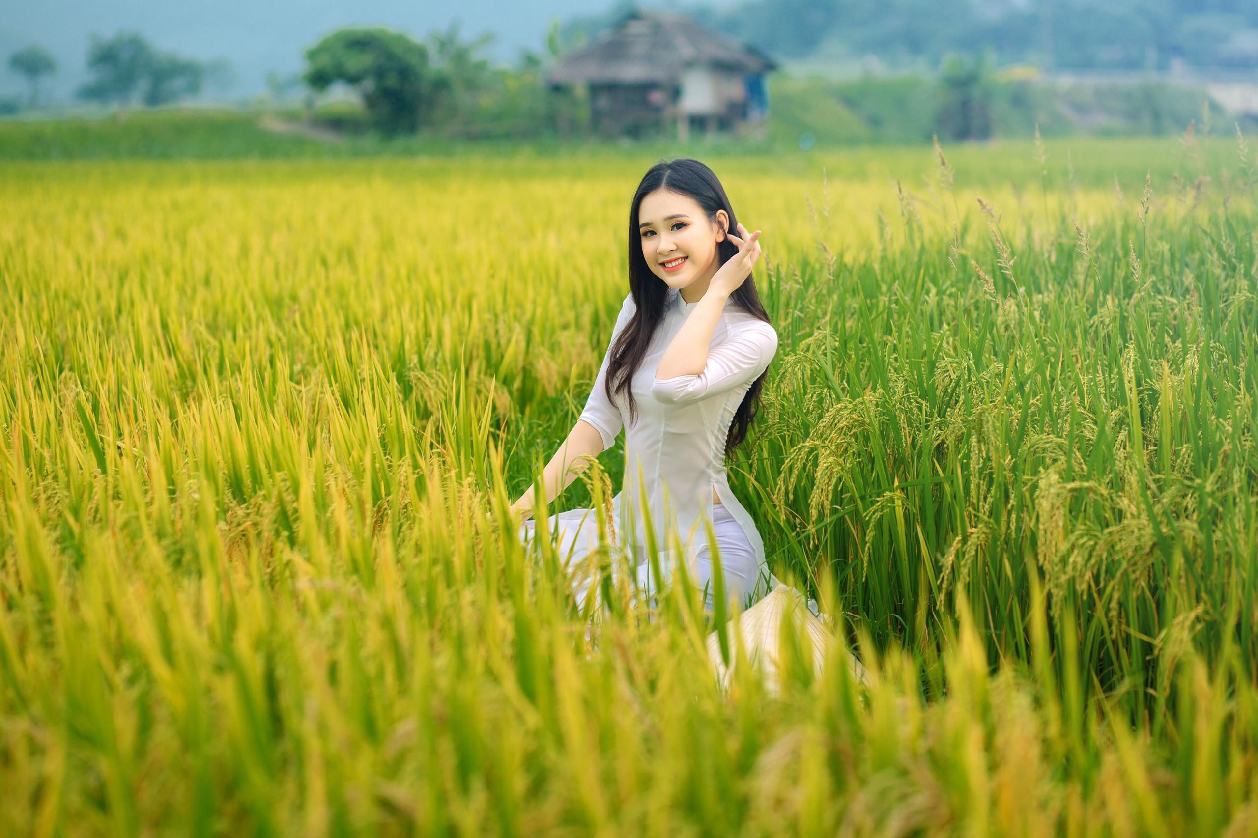 Hoa khôi sinh viên Nghệ An từng thi HHVN 2020 khoe nhan sắc ngọt ngào với áo dài trắng ảnh 2