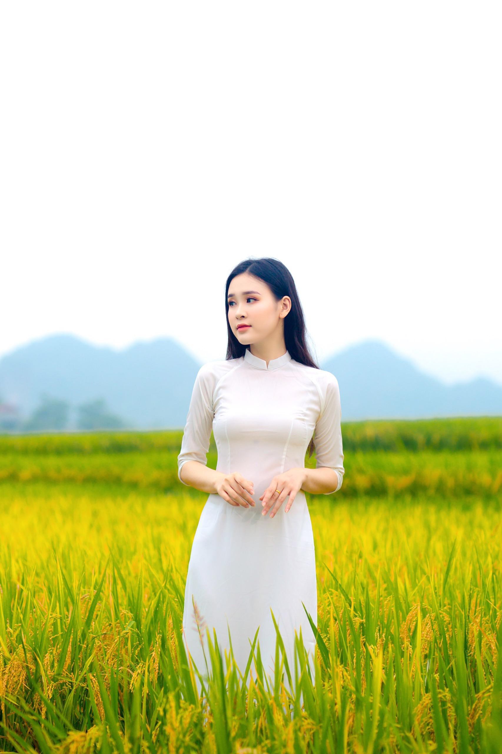 Hoa khôi sinh viên Nghệ An từng thi HHVN 2020 khoe nhan sắc ngọt ngào với áo dài trắng ảnh 4