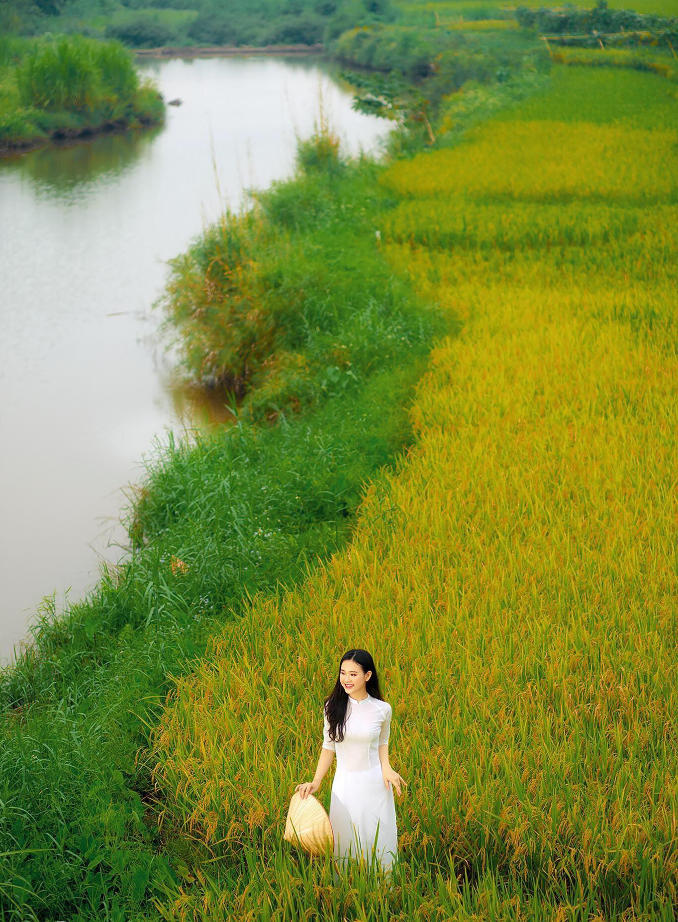 Hoa khôi sinh viên Nghệ An từng thi HHVN 2020 khoe nhan sắc ngọt ngào với áo dài trắng ảnh 9
