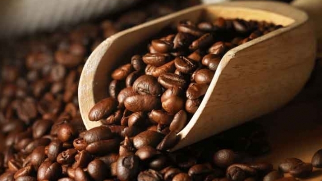 Giá cà phê hôm nay 28/5: Robusta tăng cao nhất 2 tuần qua, trong nước hướng tới mốc 34.000 đồng/kg