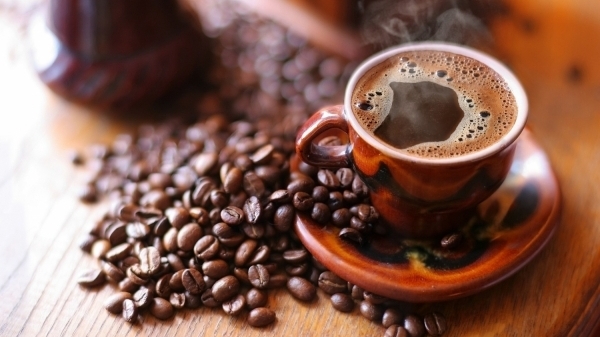 Giá cà phê hôm nay 14/5: Cao nhất 40.800 đồng/kg