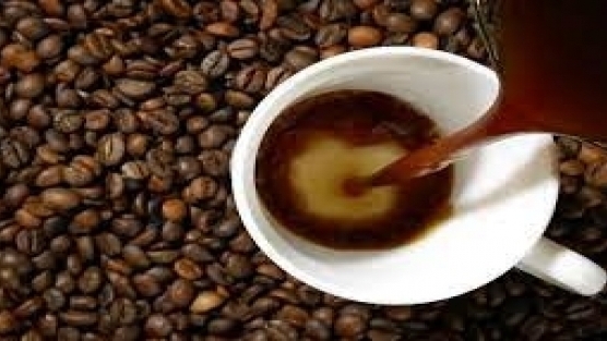 Giá cà phê hôm nay 16/5: Giao dịch trong khoảng 40.200 - 40.800 đồng/kg