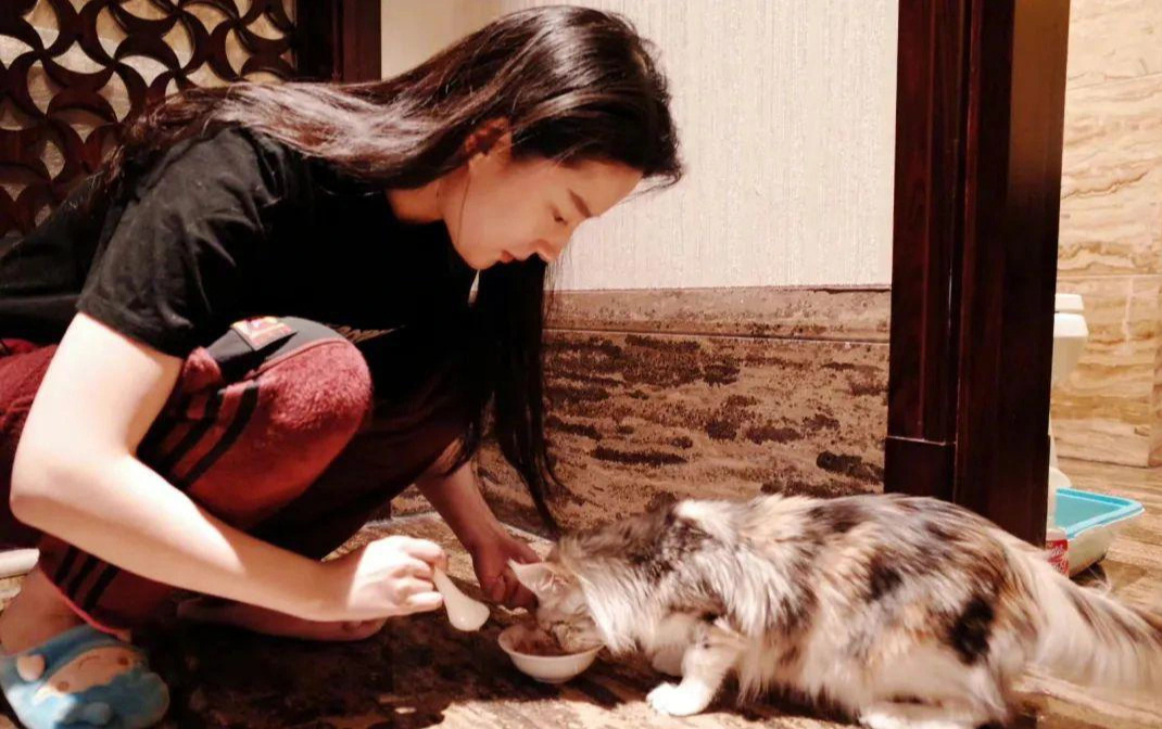 "Thần tiên tỷ tỷ" 37 tuổi Lưu Diệc Phi độc thân, giàu có và làm mẹ của 20 con mèo