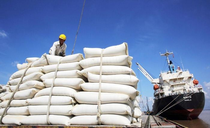 Giá gạo xuất khẩu lấy lại "ngôi vương", gạo Việt tiếp tục giữ vững tại thị trường trọng điểm