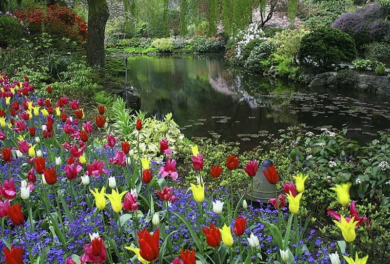 Vườn hoa thu hút hơn 1 triệu du khách mỗi năm của Canada
