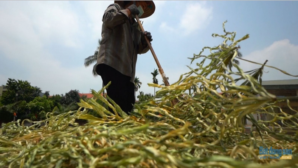 Nón lá Phú Châu - Nơi gìn giữ hồn quê đất Việt