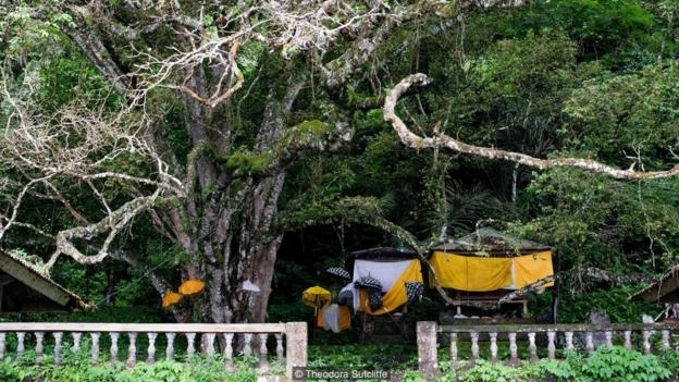 Sự kỳ lạ đến bất ngờ bên cây cổ thụ gắn với đời sống tâm linh của một ngôi làng tại Bali
