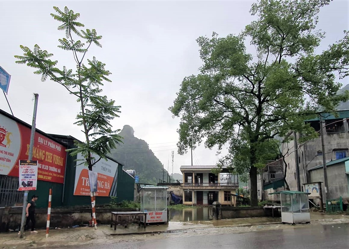 Huyện Quảng Hòa (Cao Bằng): Vì sao 680,7m2 “đất vàng” chưa thể tổ chức đấu giá?
