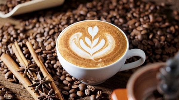 Giá cà phê hôm nay 16/6: Tăng nhẹ tại các địa phương thu mua trọng điểm