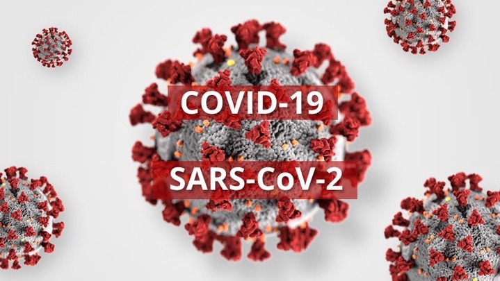 Bộ Y tế yêu cầu bám sát diễn biến của các biến chủng mới Covid-19