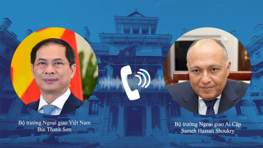 Việt Nam - Ai Cập nhất trí thúc đẩy hợp tác song phương và tại các diễn đàn đa phương