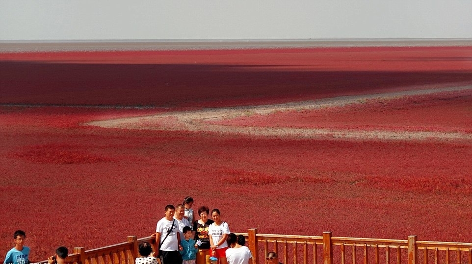 Mùa thu này, đến Trung Quốc để chiêm ngưỡng bãi biển đỏ Panjin