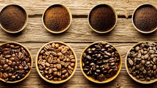 Giá cà phê hôm nay 2/7: Giảm 300 đồng/kg tại các nơi thu mua trọng điểm