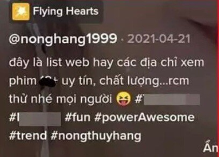 Hoa hậu Các dân tộc Việt Nam tiếp tục đáp trả netizen vụ quảng cáo web phim người lớn