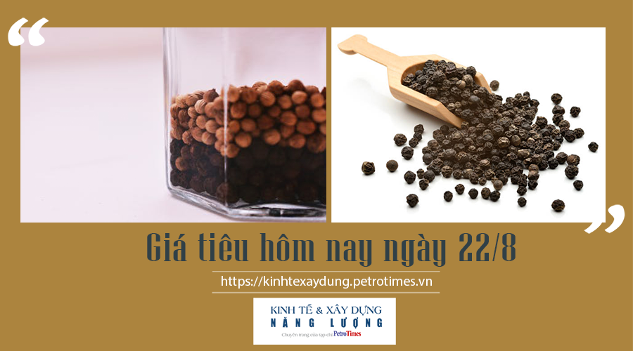 Giá tiêu hôm nay ngày 22/8: Thị trường thế giới đi ngang