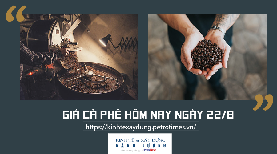 Giá cà phê hôm nay ngày 22/8: Robusta tăng mạnh