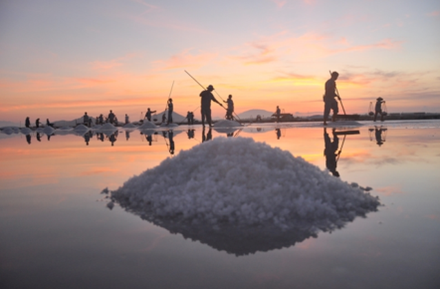 Ngỡ ngàng với vẻ đẹp của những cánh đồng muối Việt Nam