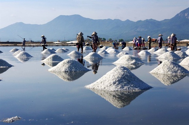 Ngỡ ngàng với vẻ đẹp của những cánh đồng muối Việt Nam