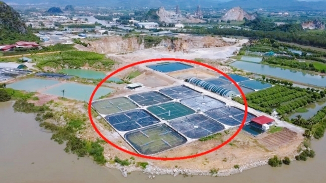 Quảng Ninh: Công ty Phương Nam tự ý chuyển đổi mục đích sử dụng hàng nghìn mét đất?